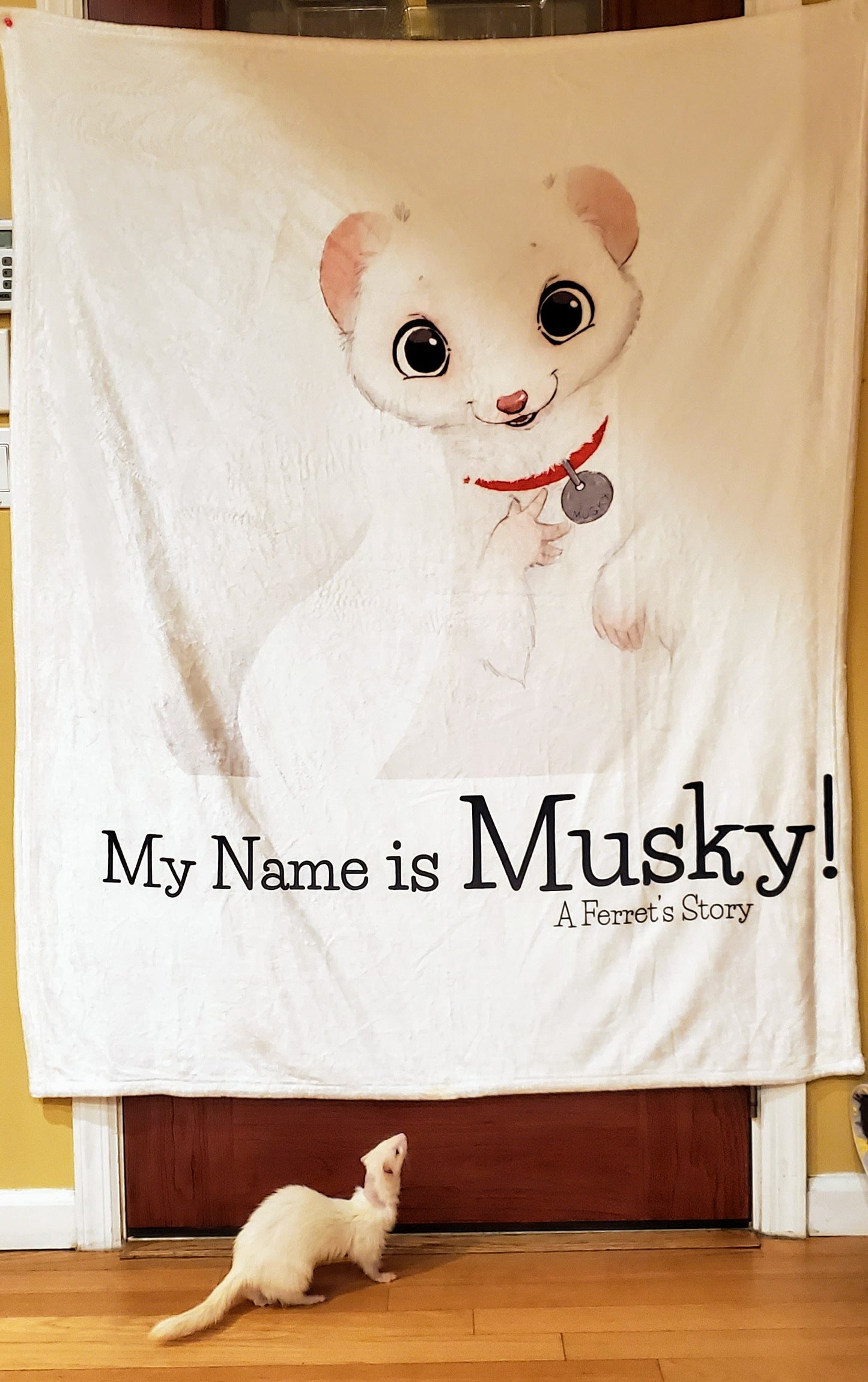 "My Name is Musky! A Ferret's Story" Blankie!