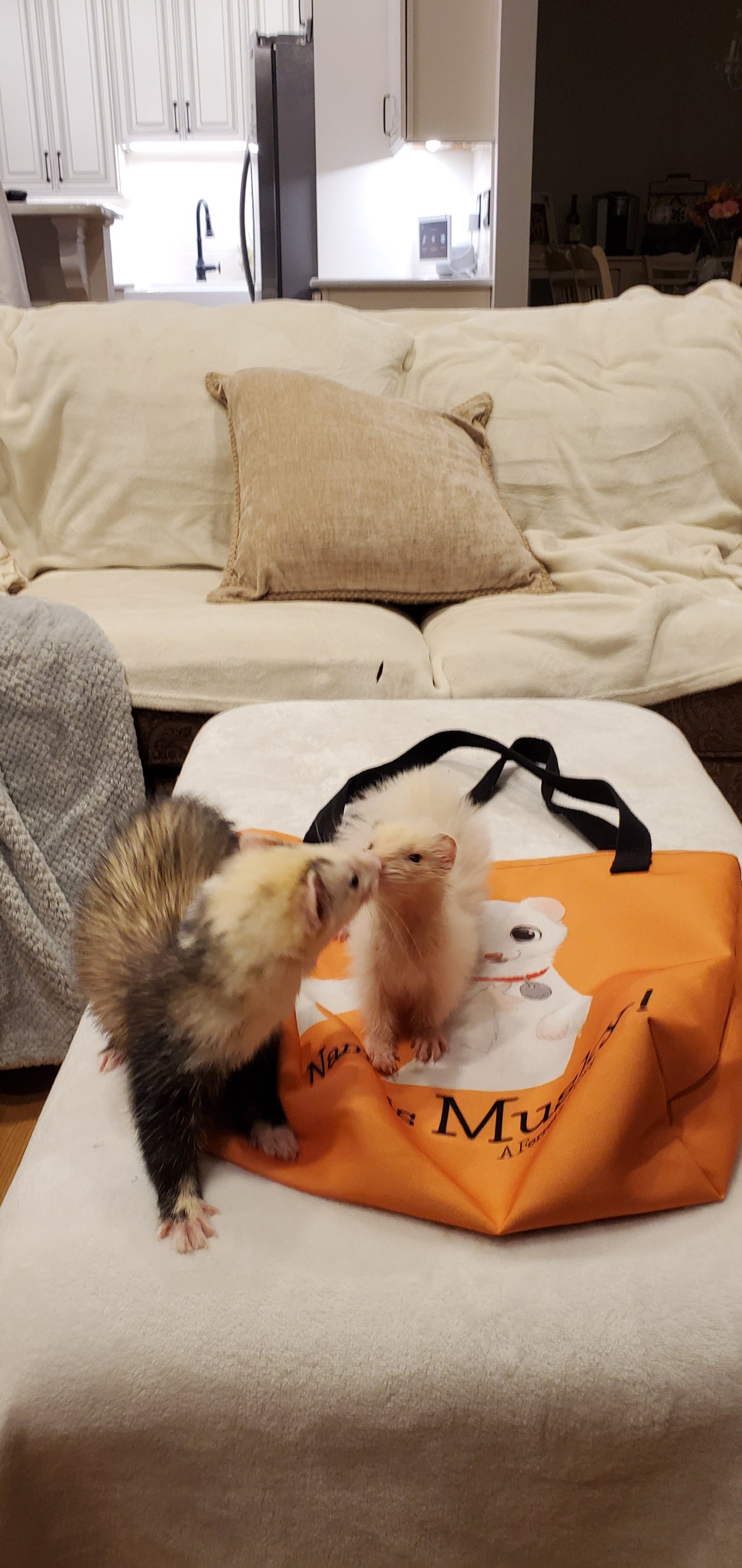 "My Name is Musky! A Ferret's Story" Tote Bag!