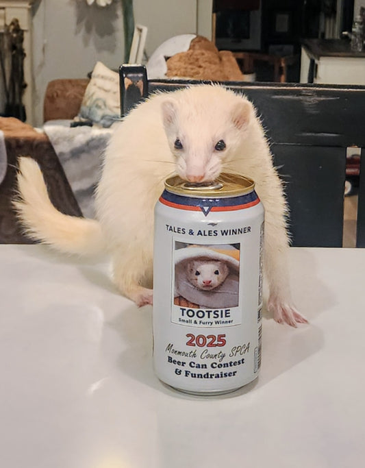 FULL CAN OF TOOTSIE'S "CARPETSHARK!"- LIMITED EDITION!
