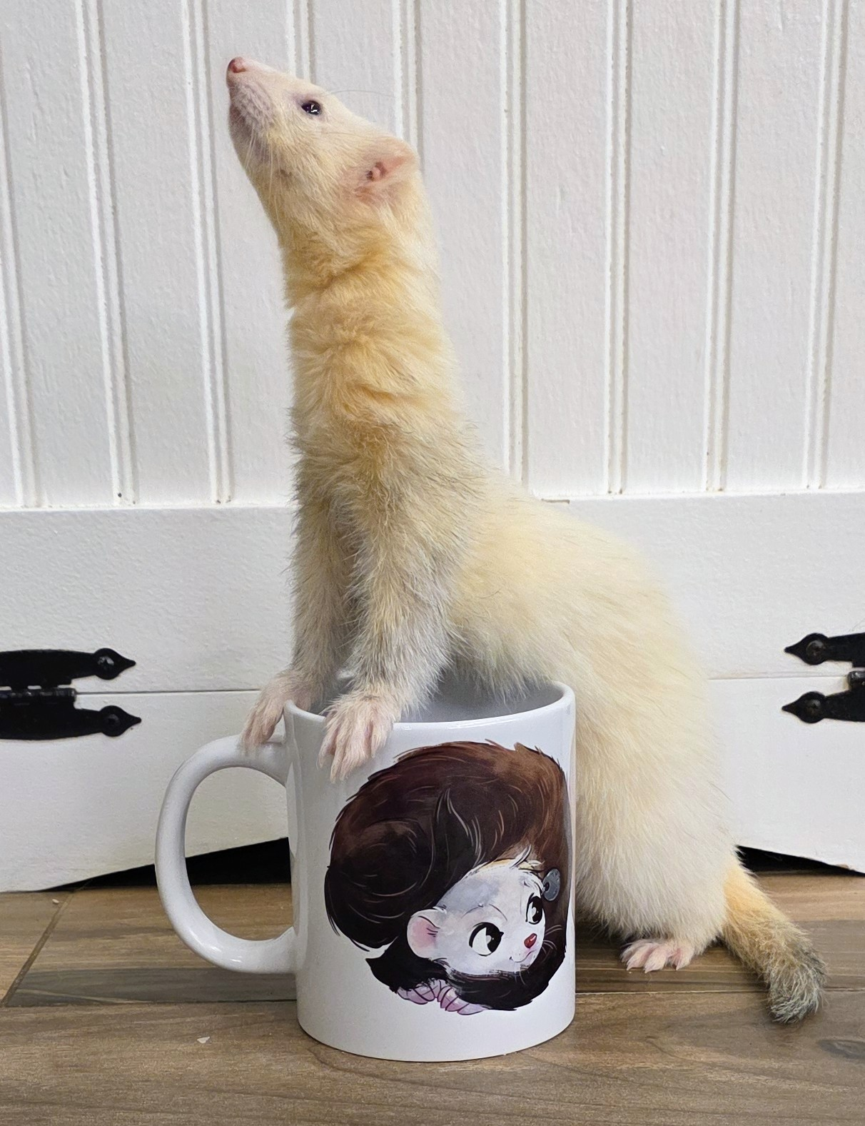 "My Name Is Musky! Stubby Loves Musky" BIG 20 OUNCE Glossy Ceramic Mug!